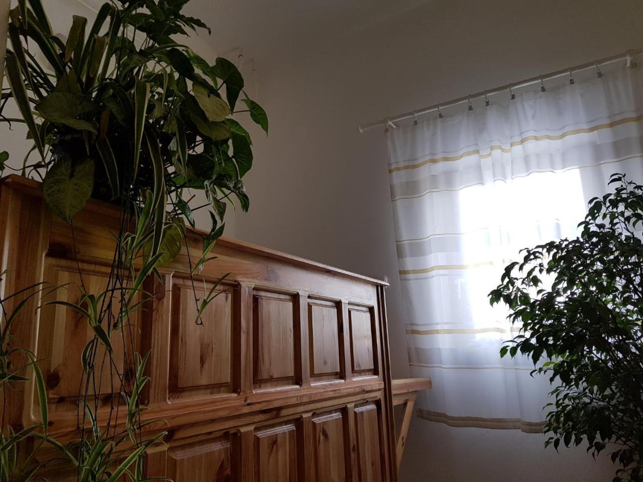 Matyas Panzio Bed & Breakfast Szeged Exterior photo